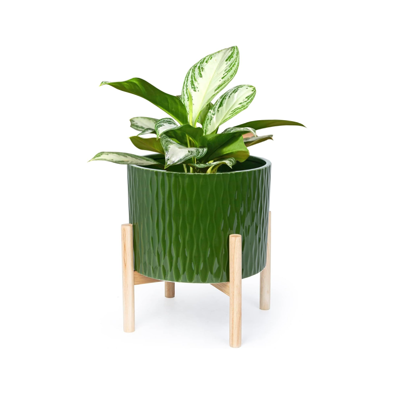 Ceramic Plant Pot with Stand