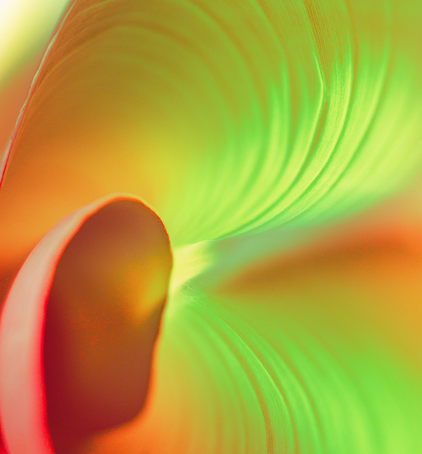 Energy Mastery &Vibrational Healing