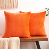 Set of 2 Decorative Velvet Throw Pillow Covers, 18x18 inch - Chakra Lounge
