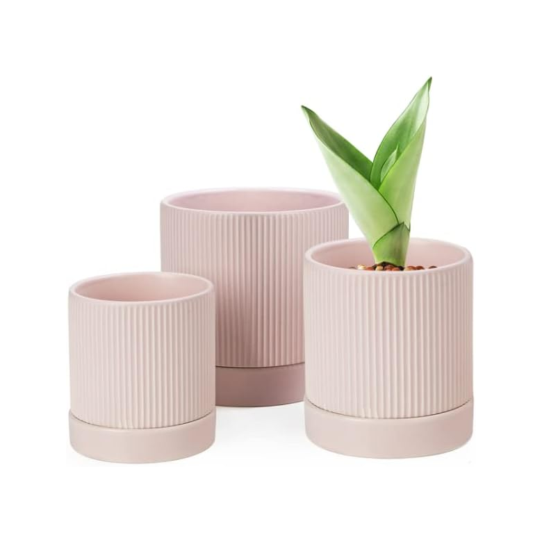 3-Pack Ceramic Plant Pots with Drainage & Tray