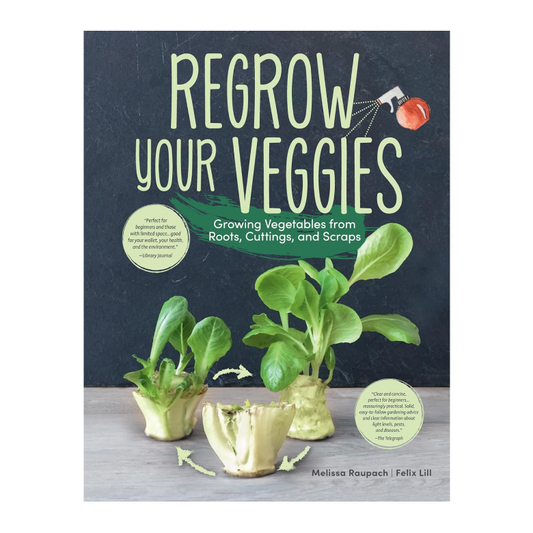 Regrow Your Veggies