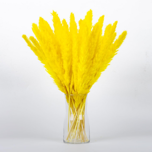 Gold Yellow Pampas